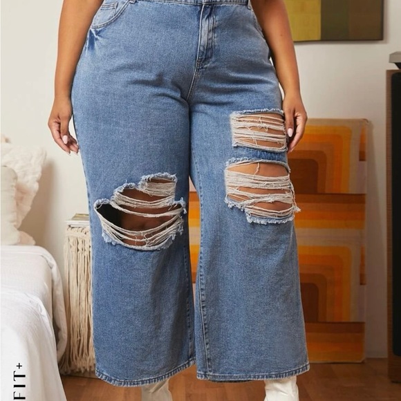 Plus Size Shien Denim pants - Picture 2 of 2